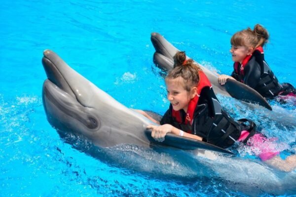 Delfin Tour Hurghada Deutsch