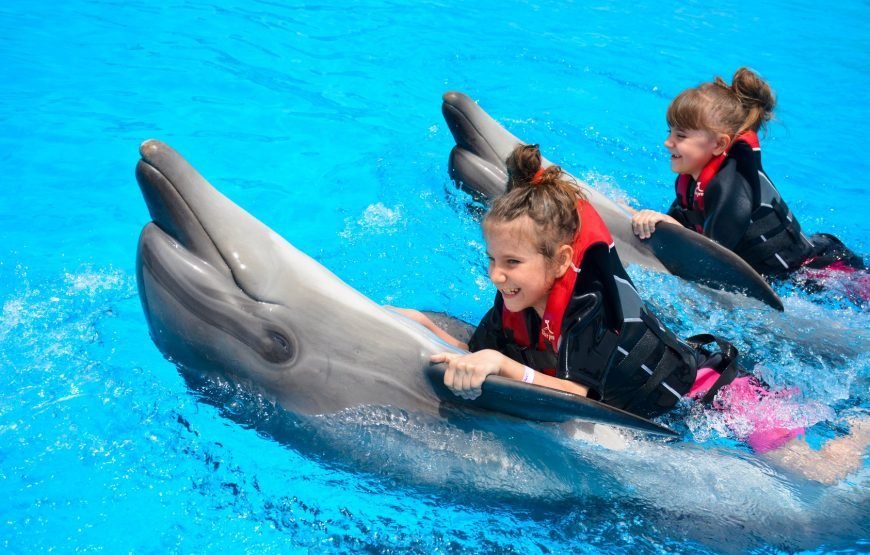 Delfin Tour Hurghada Deutsch